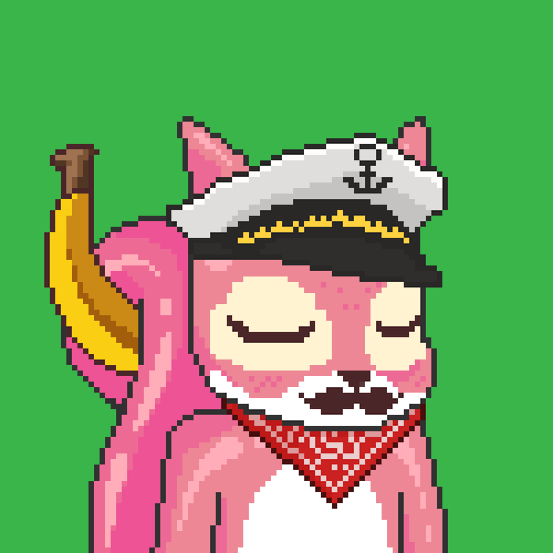 Pixel Squirrels #5860